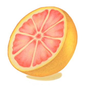 Grapefruit